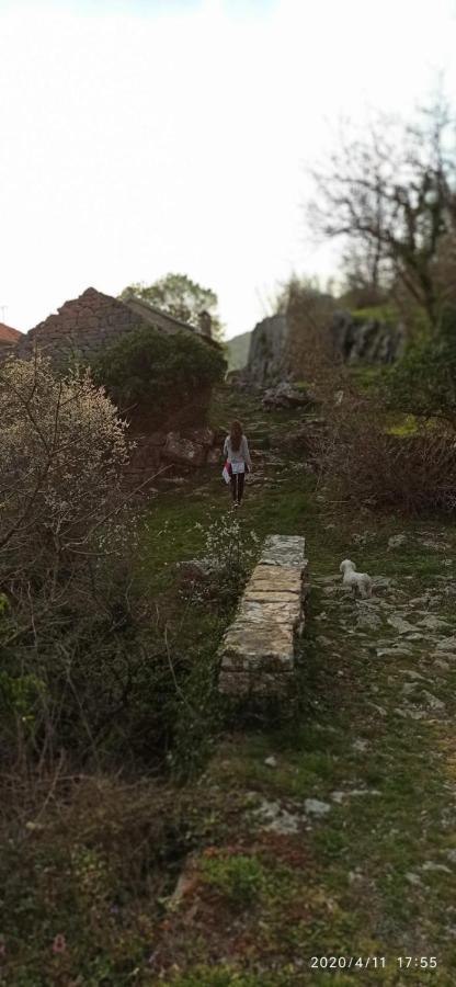 Tatil Evi Old House Djurovic