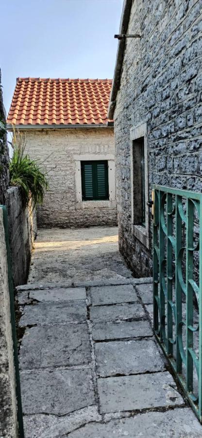 Old House Djurovic